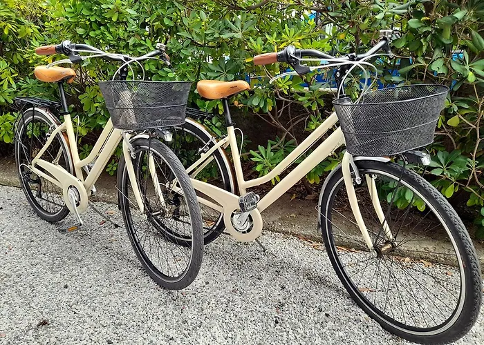 Apt Luminoso, Spazioso Con Aria Condiz E Bici