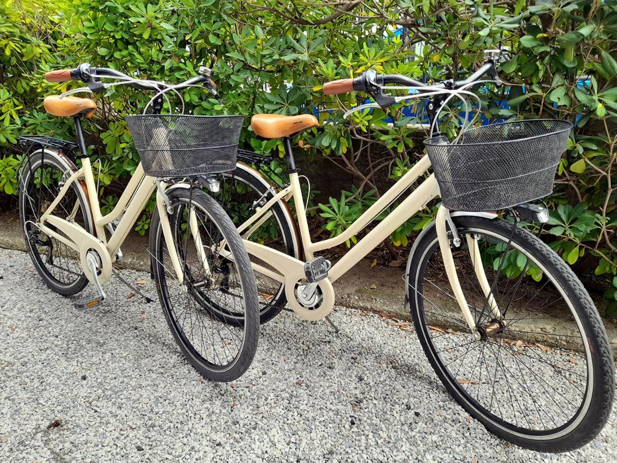 Luminoso, Spazioso Con Aria Condiz E Bici * Viareggio